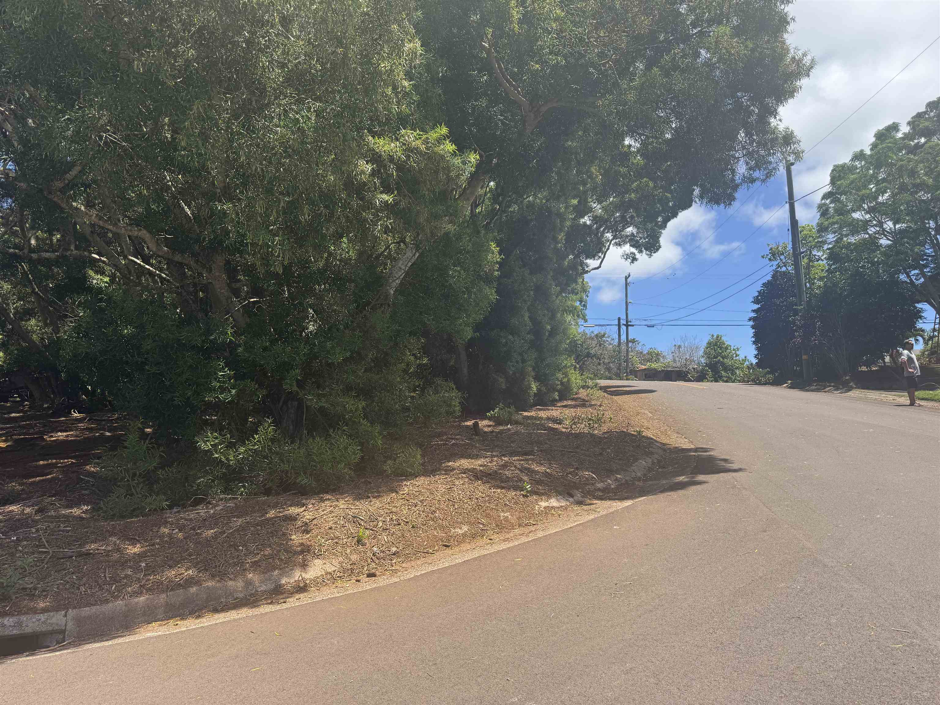 2084 Akeu Way Property Photo 10