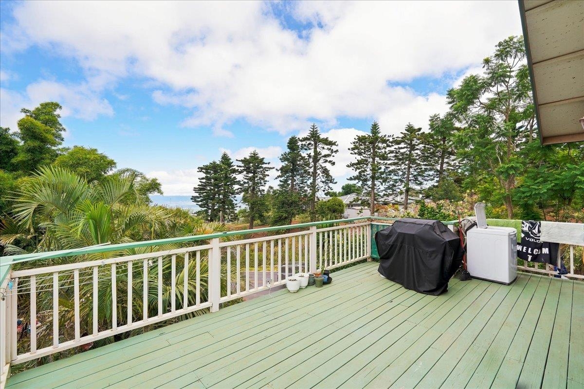 4030 Lower Kula Rd Property Photo 19
