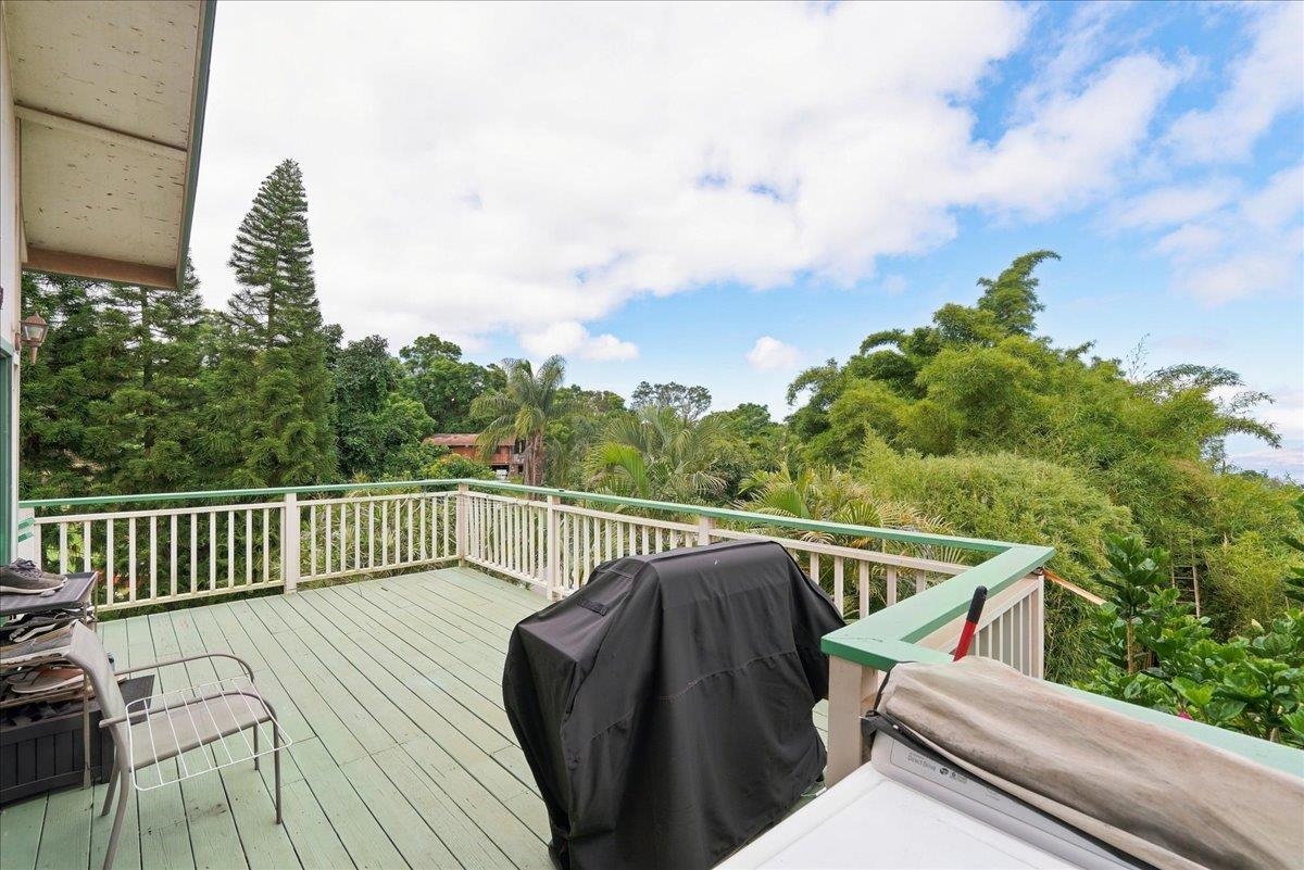 4030 Lower Kula Rd Property Photo 20