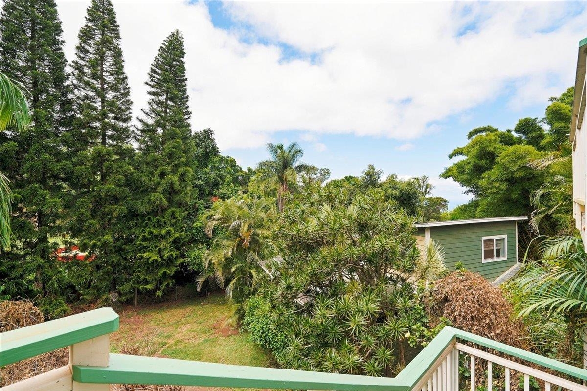 4030 Lower Kula Rd Property Photo 21