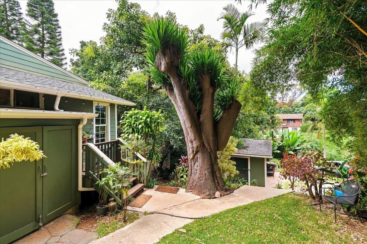 4030 Lower Kula Rd Property Photo 36