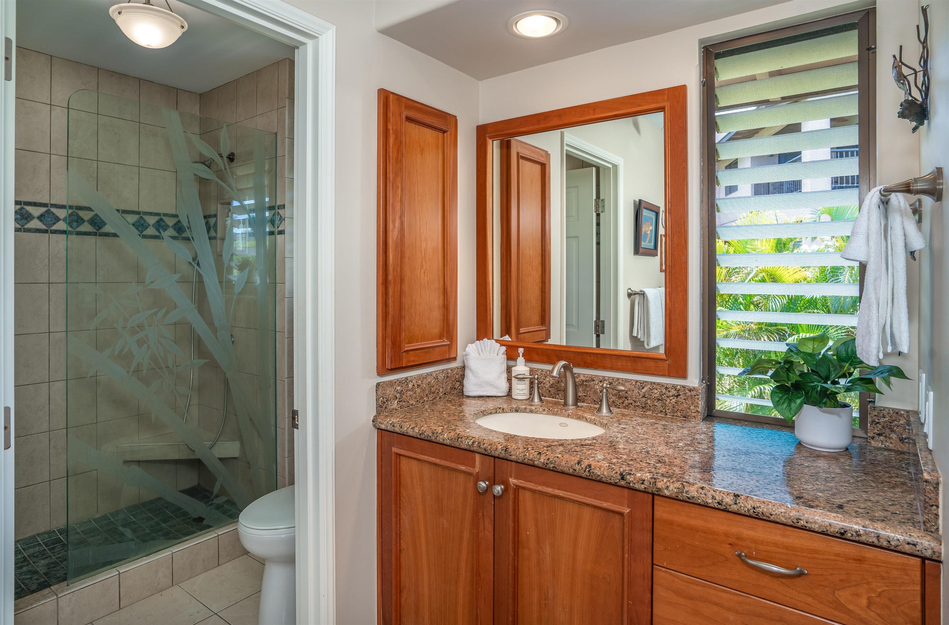 3300 Wailea Alanui Dr Property Photo 24