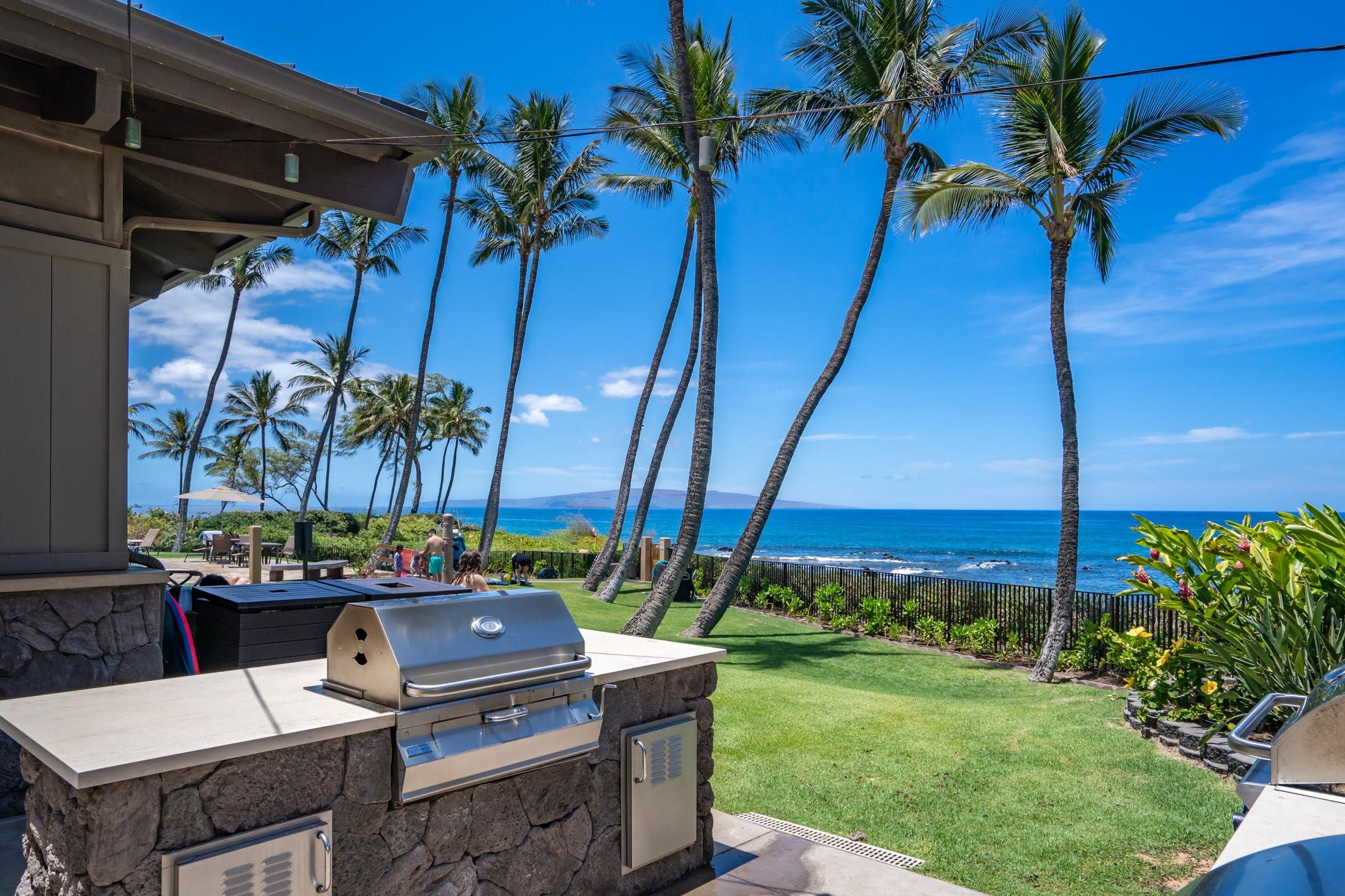 3300 Wailea Alanui Dr Property Photo 41