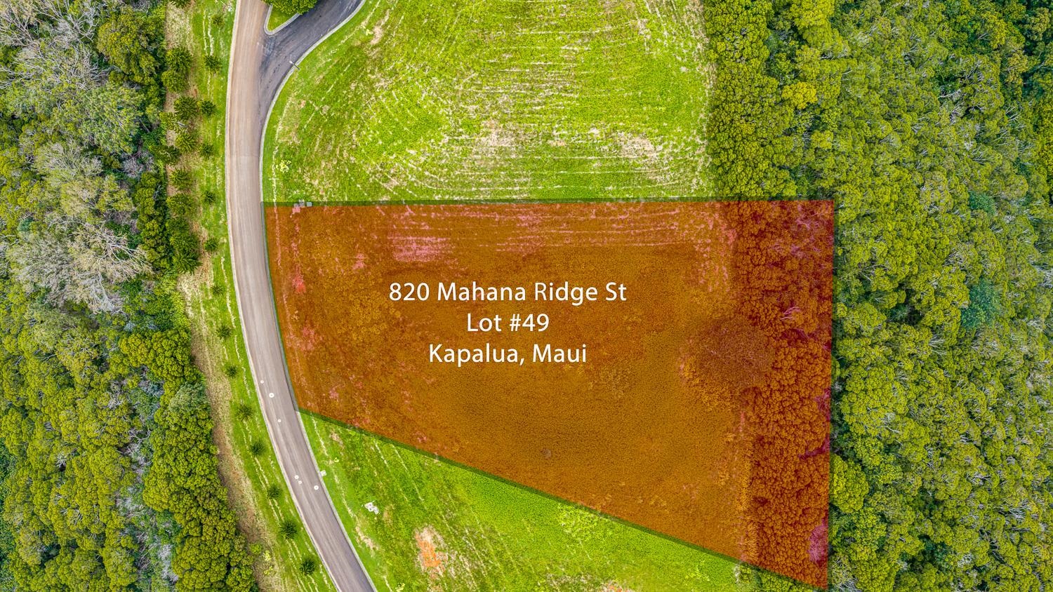 820 Mahana Ridge St Property Photo 6