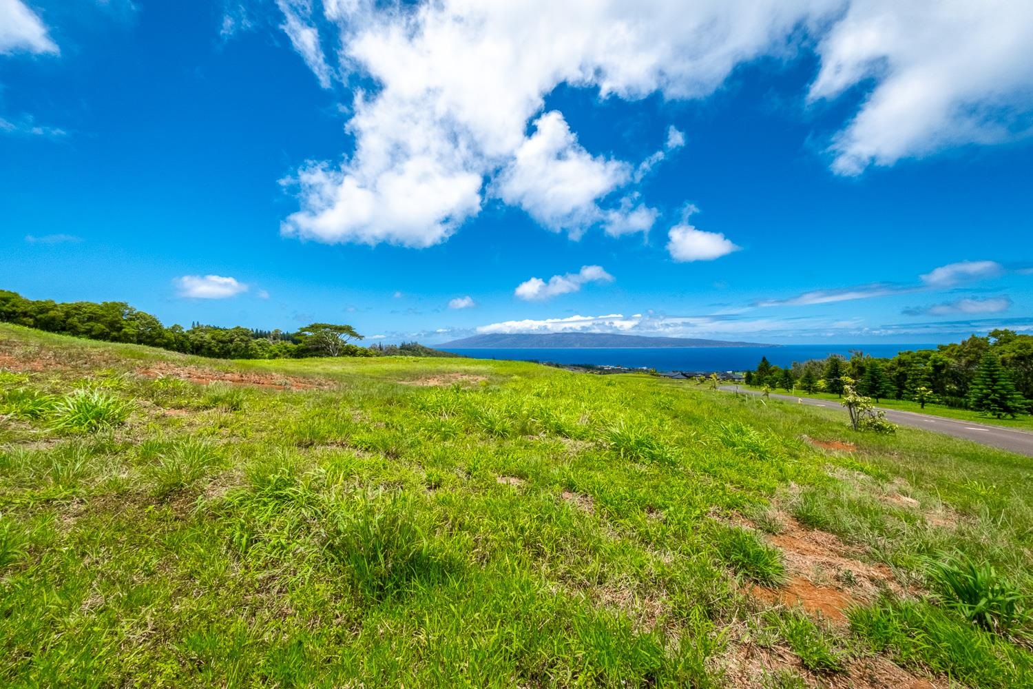 820 Mahana Ridge St Property Photo 7