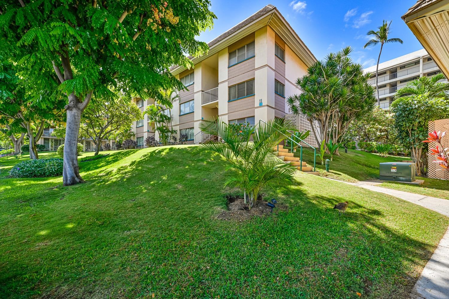 2495 S Kihei Rd Property Photo 4