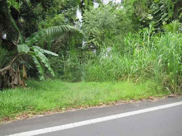 Hana Hwy Property Photo 5