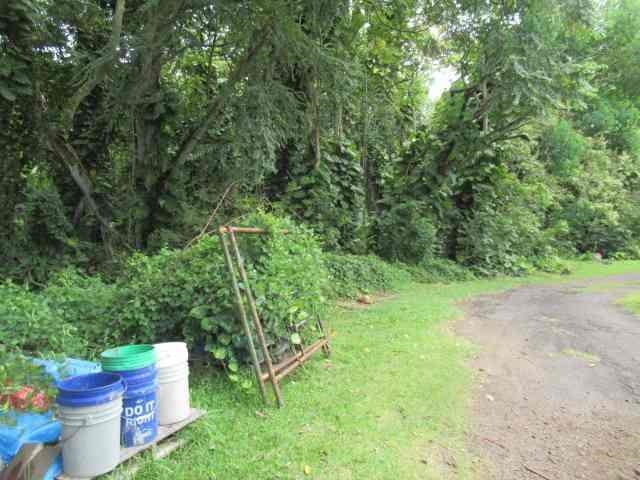 Hana Hwy Property Photo 6