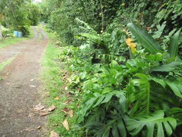 Hana Hwy Property Photo 7