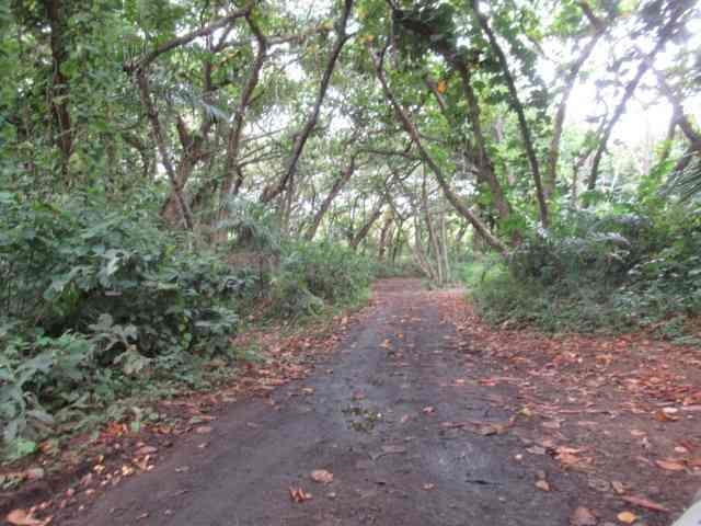 Hana Hwy Property Photo 10