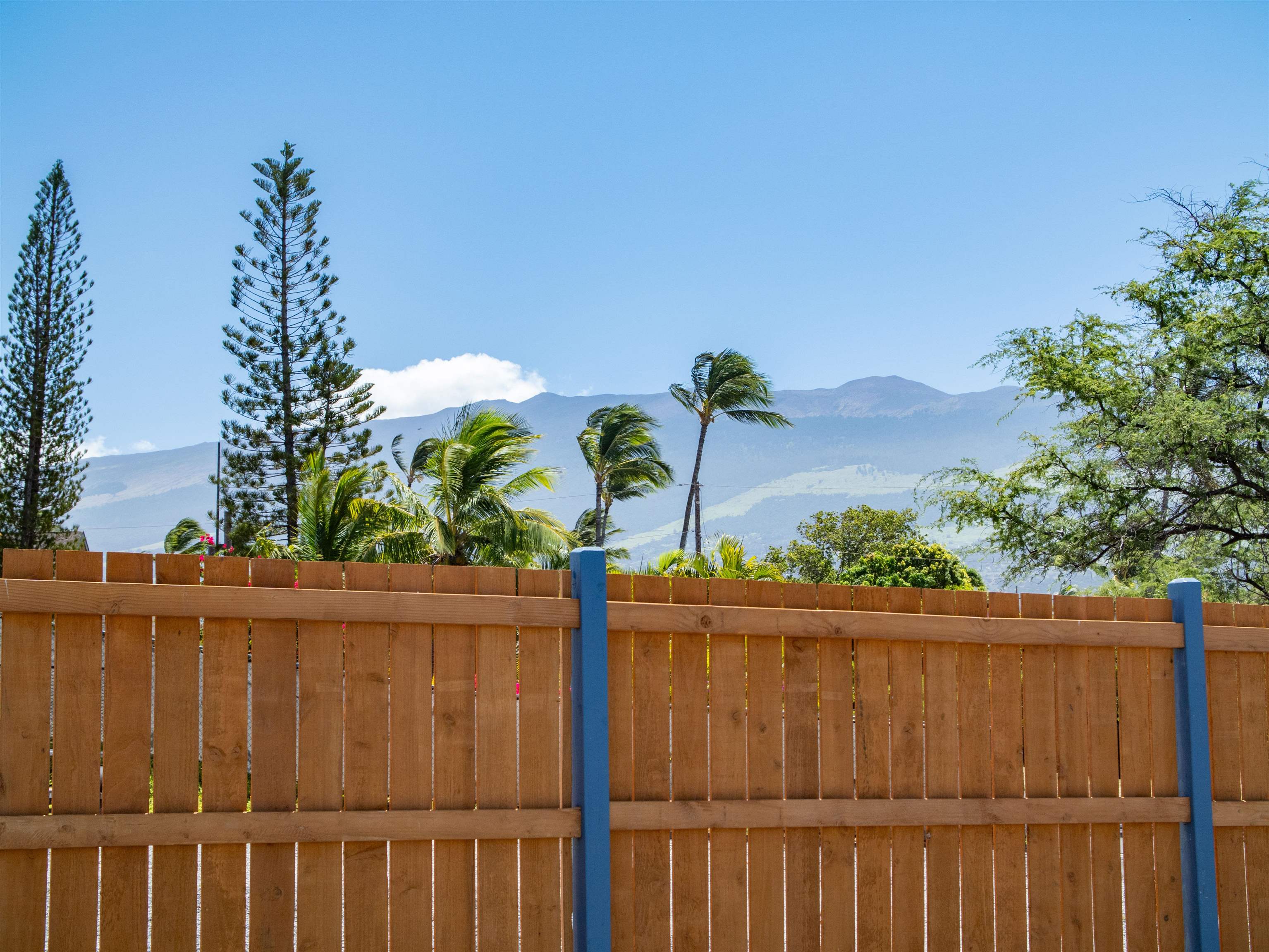 163 Auhana Rd Property Photo 15