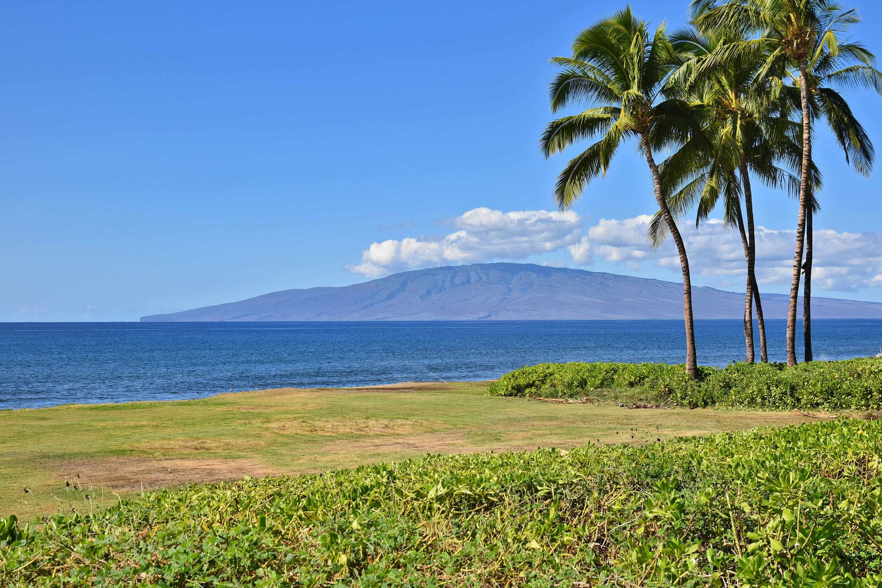 49 Kuahulu Pl Property Photo 49