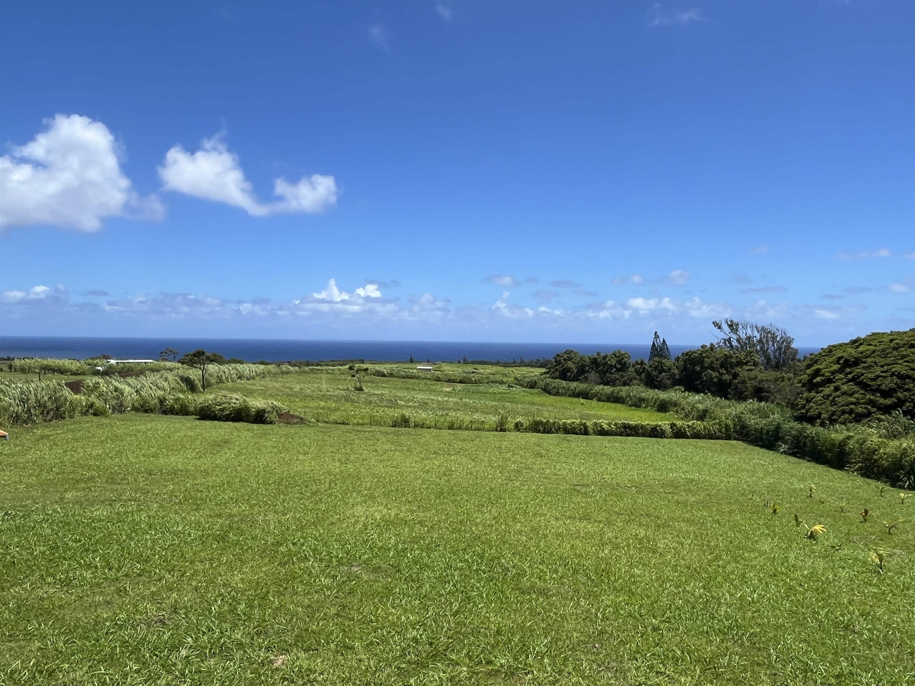 2865 Hana Hwy Property Photo 15