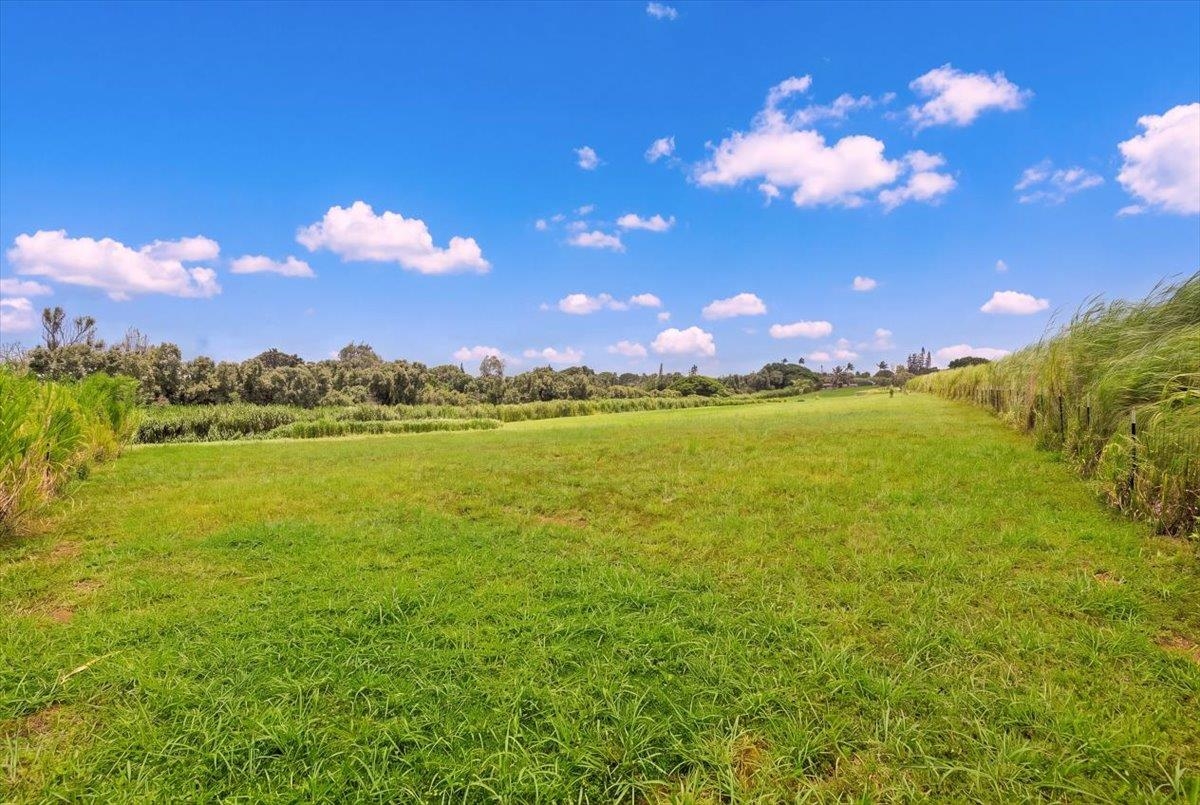 2865 Hana Hwy Property Photo 28