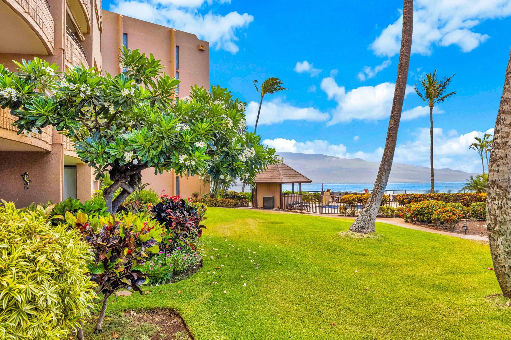 150 Hauoli St Property Photo 28