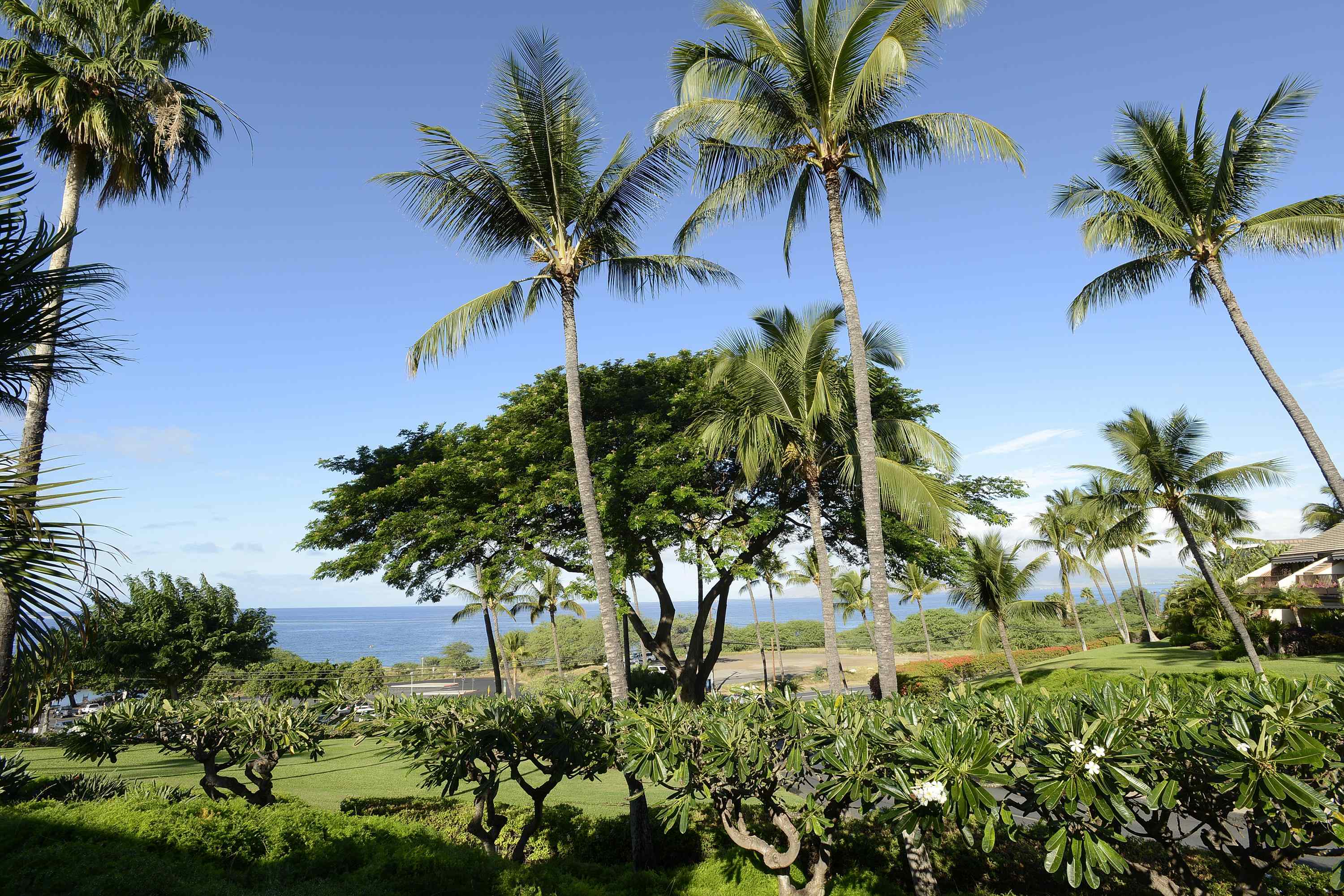 2777 S Kihei Rd Property Photo 17
