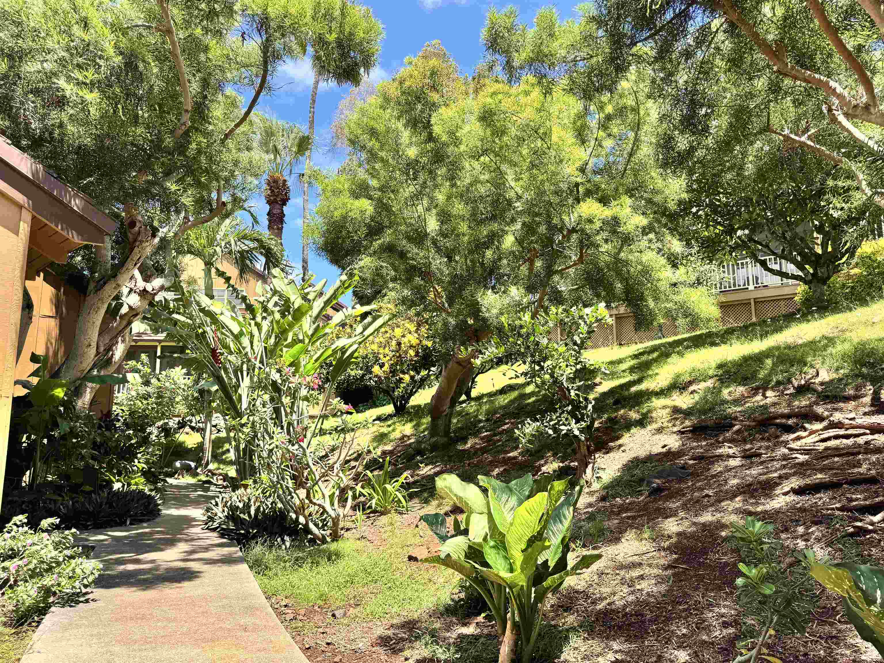 100 Lio Pl Property Photo 17