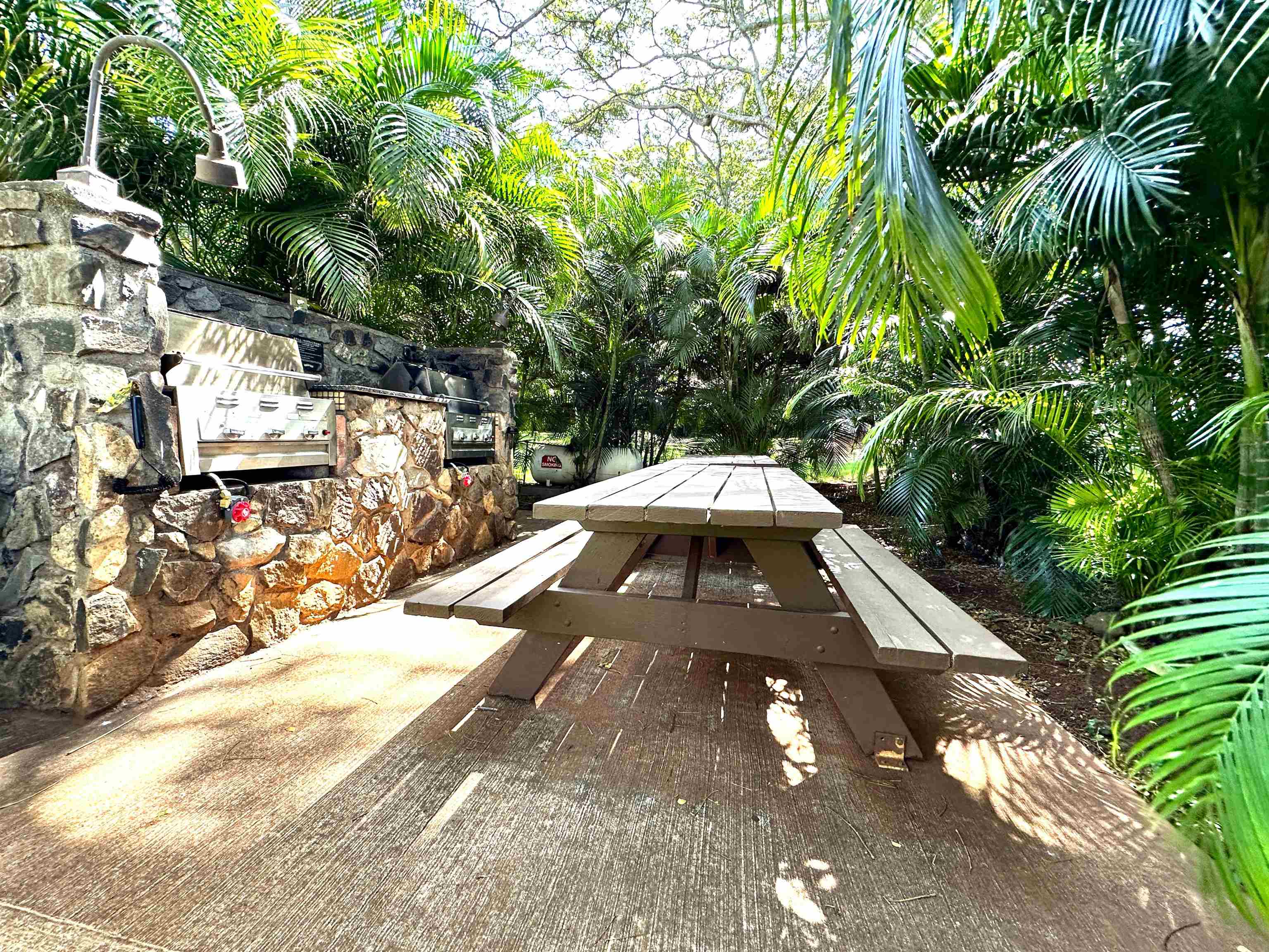 100 Lio Pl Property Photo 22