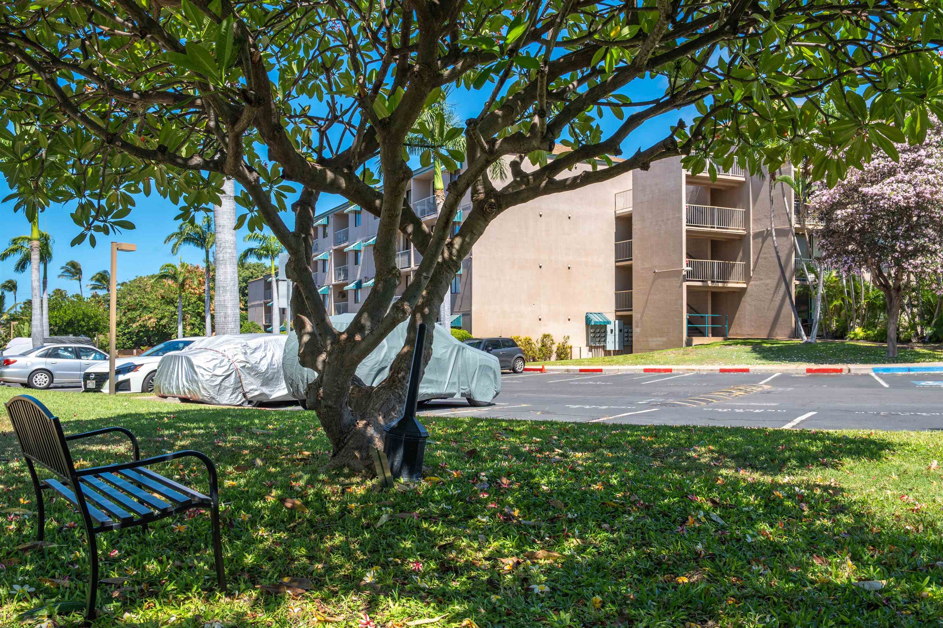 2219 S Kihei Rd Property Photo 35