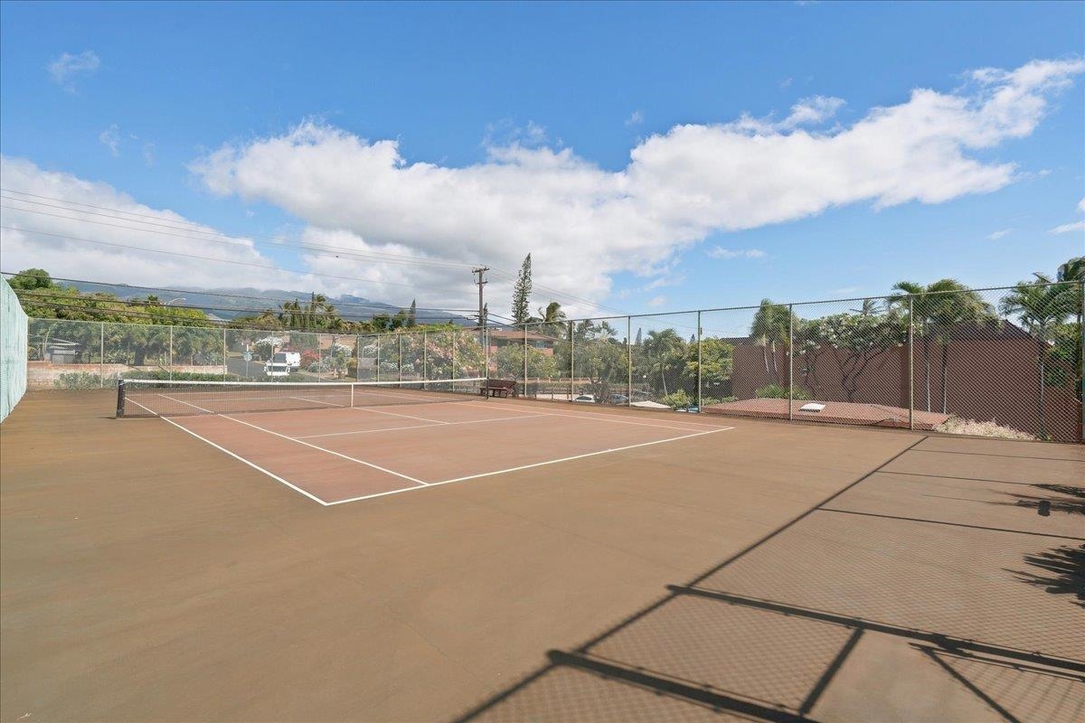 3959 Lower Honoapillani Rd Property Photo 26