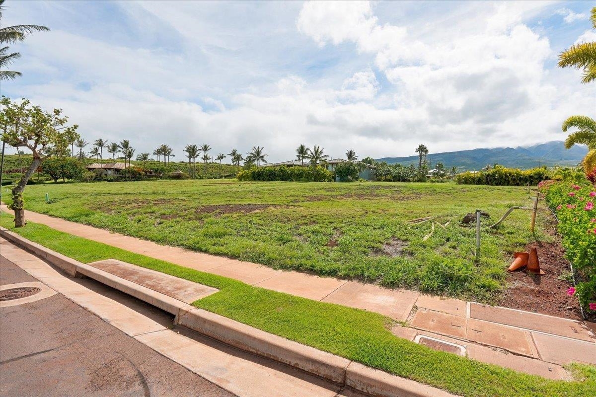 995 Anapuni Pl Property Photo 18