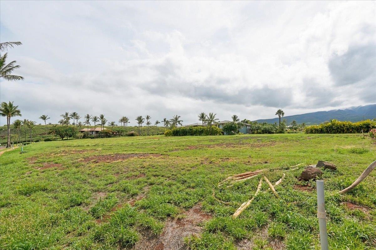 995 Anapuni Pl Property Photo 25