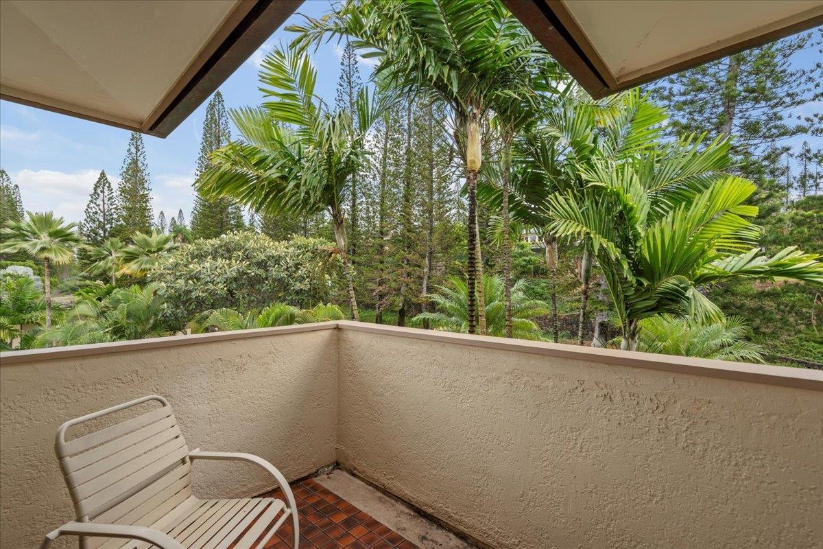 500 Kapalua Dr Property Photo 27