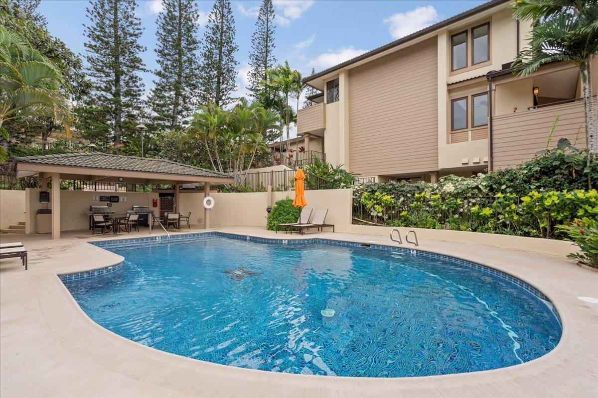 500 Kapalua Dr Property Photo 33