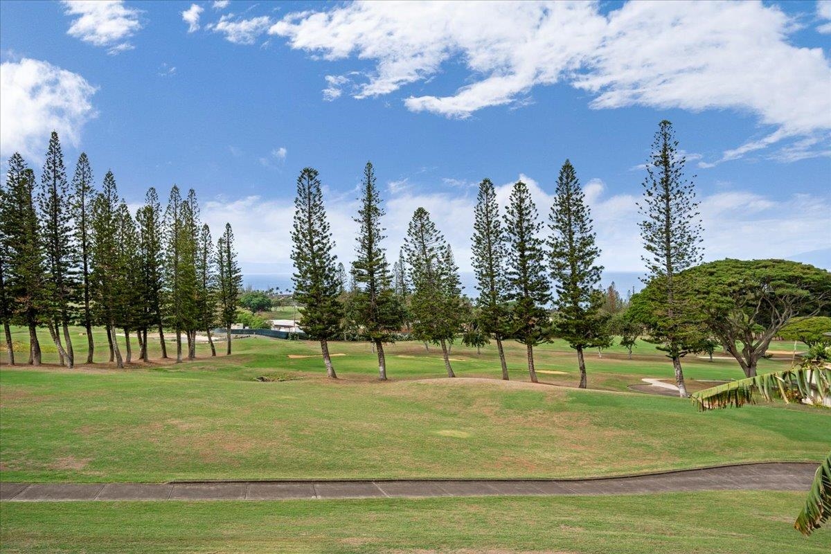 500 Kapalua Dr Property Photo 44