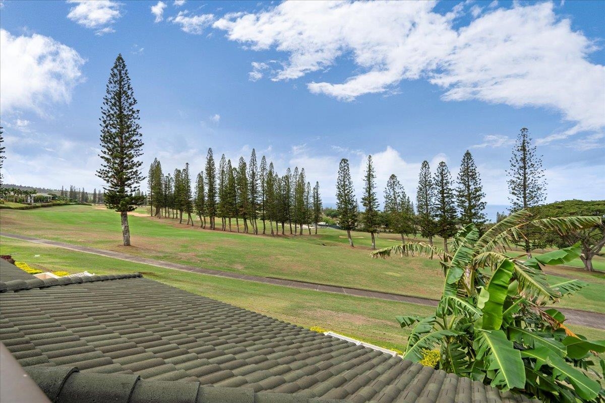 500 Kapalua Dr Property Photo 47