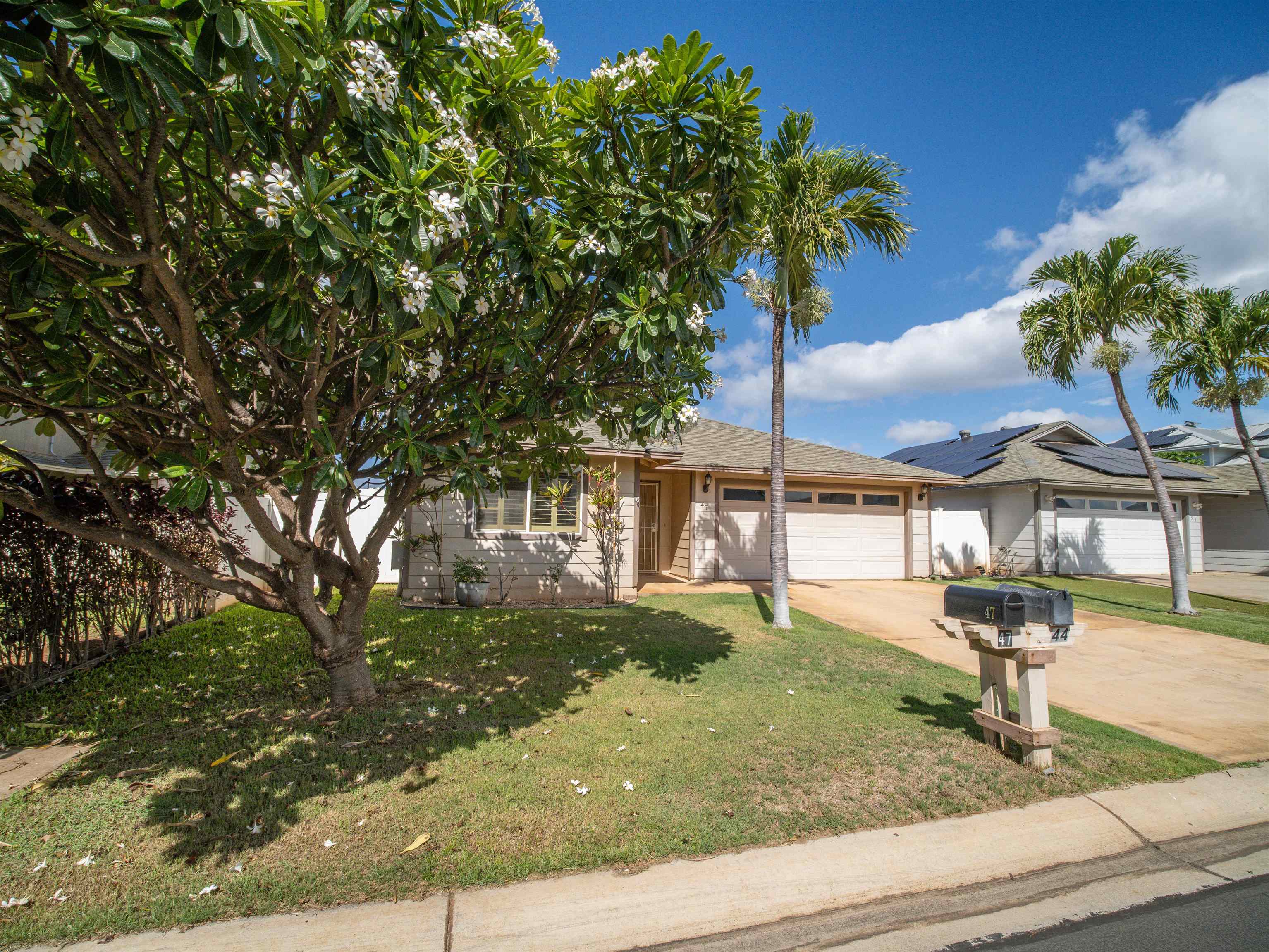 47 Polale St Property Photo 30