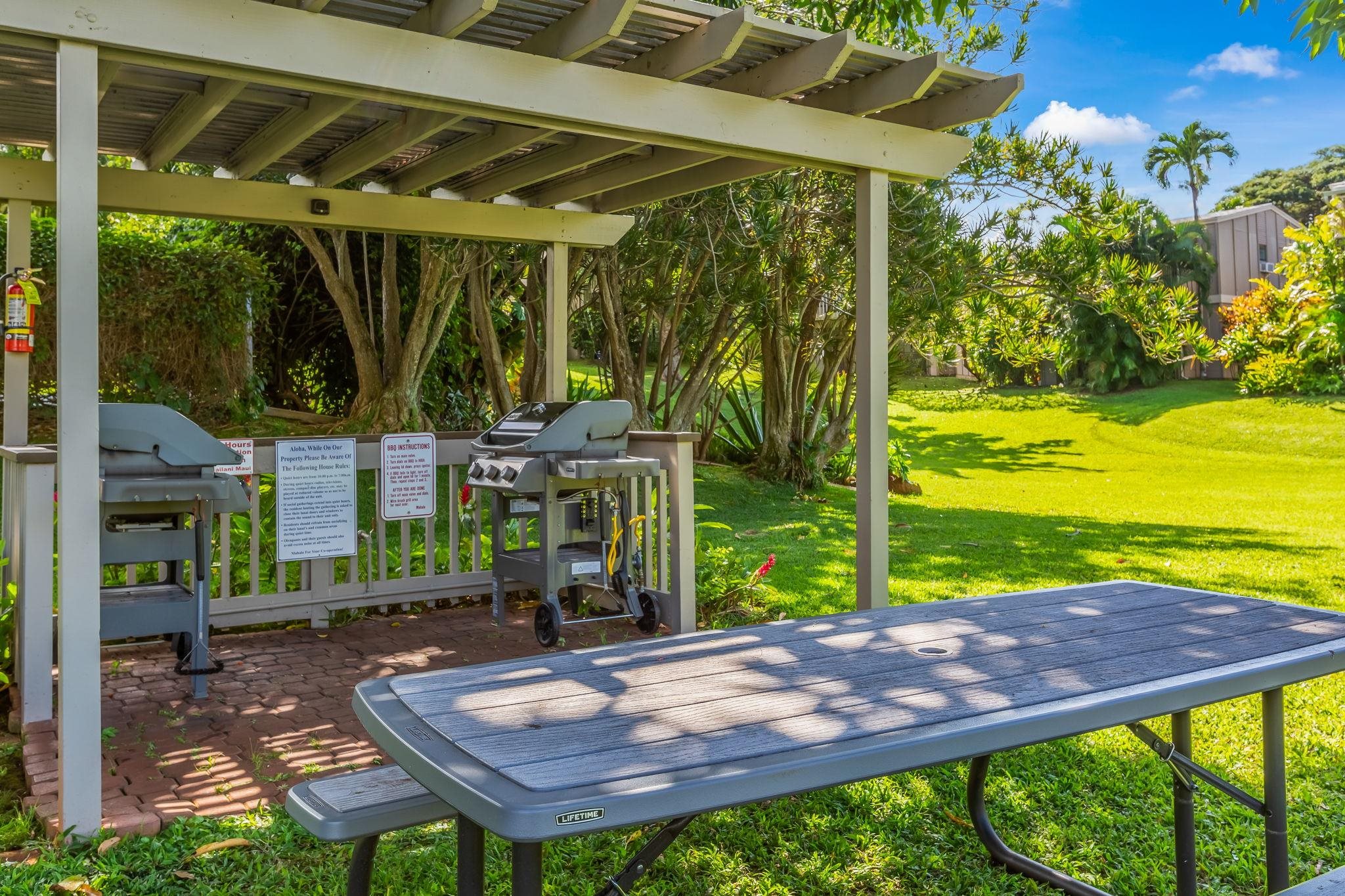 4435 Lower Honoapiilani Rd Property Photo 41