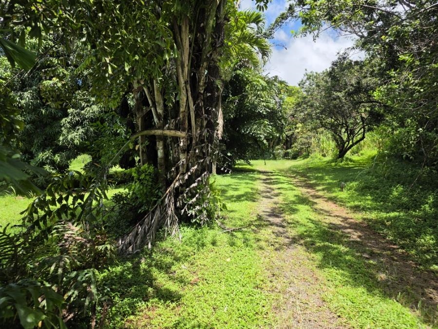 1063 Kauhikoa Rd Property Photo 2