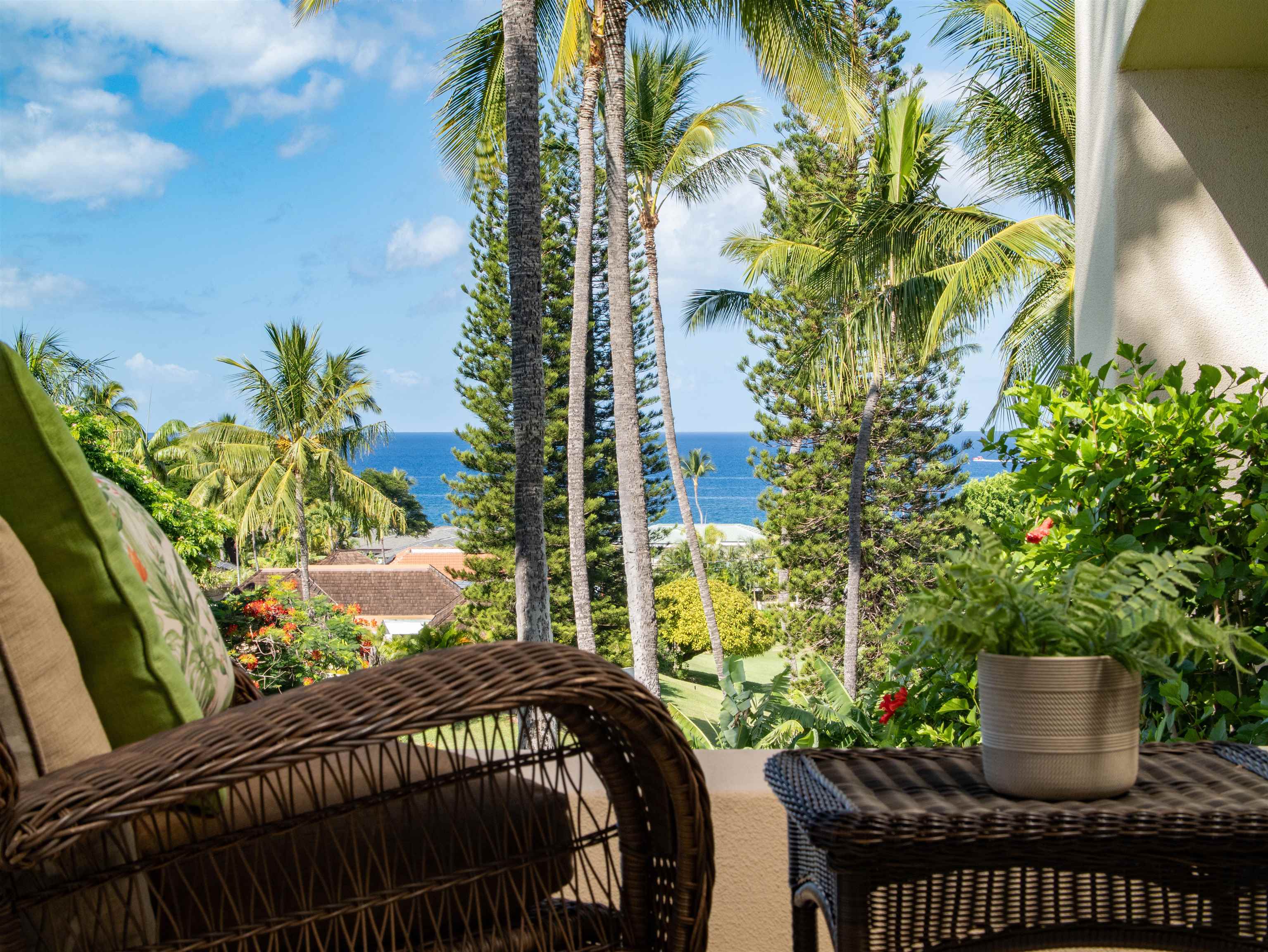 3150 Wailea Alanui Dr Property Photo 27