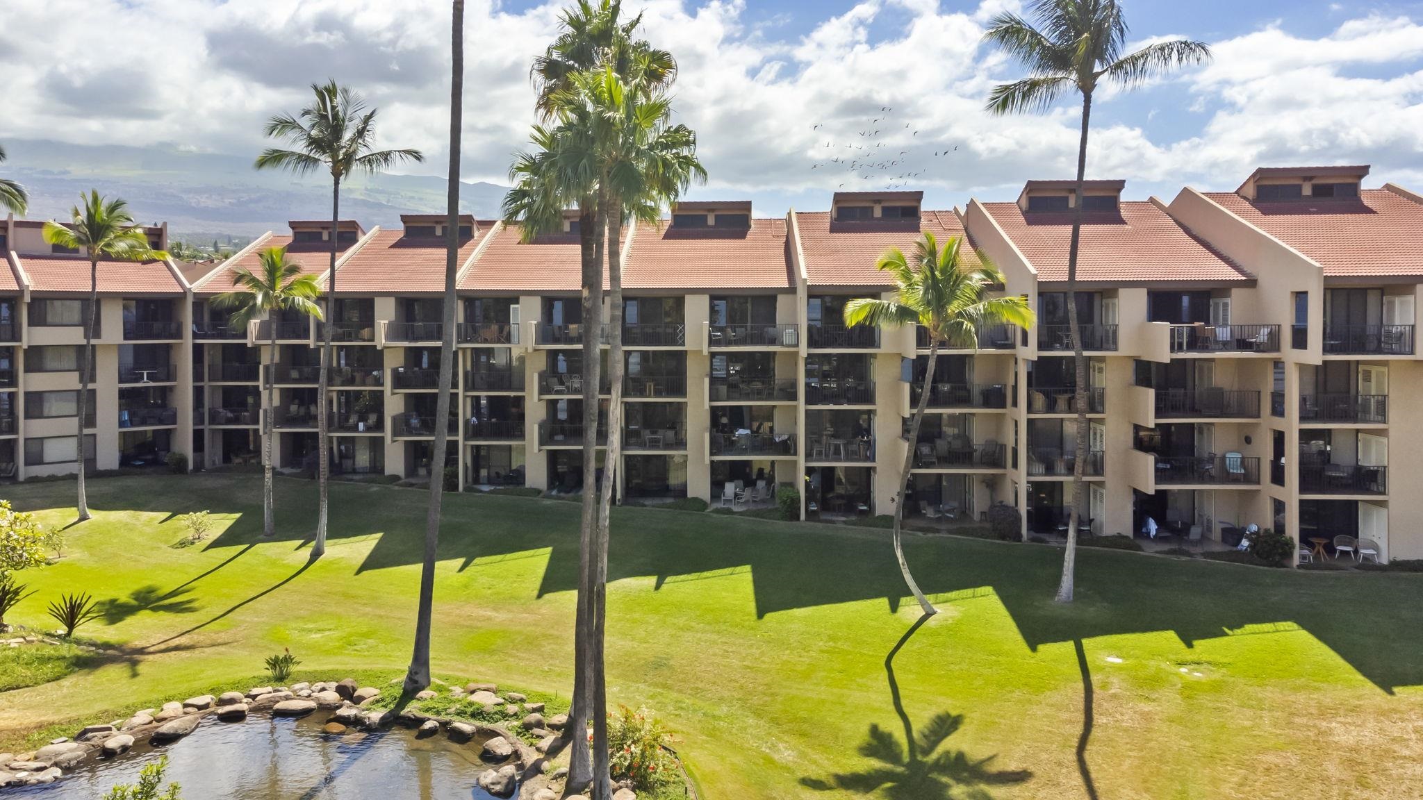 2695 S Kihei Rd Property Photo 27