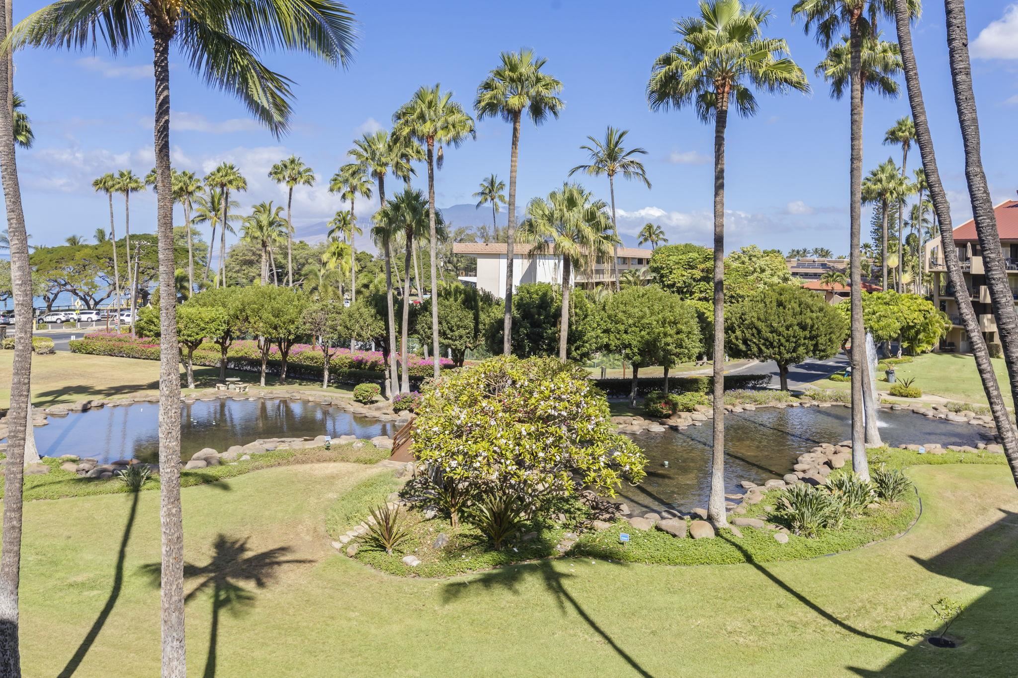 2695 S Kihei Rd Property Photo 31