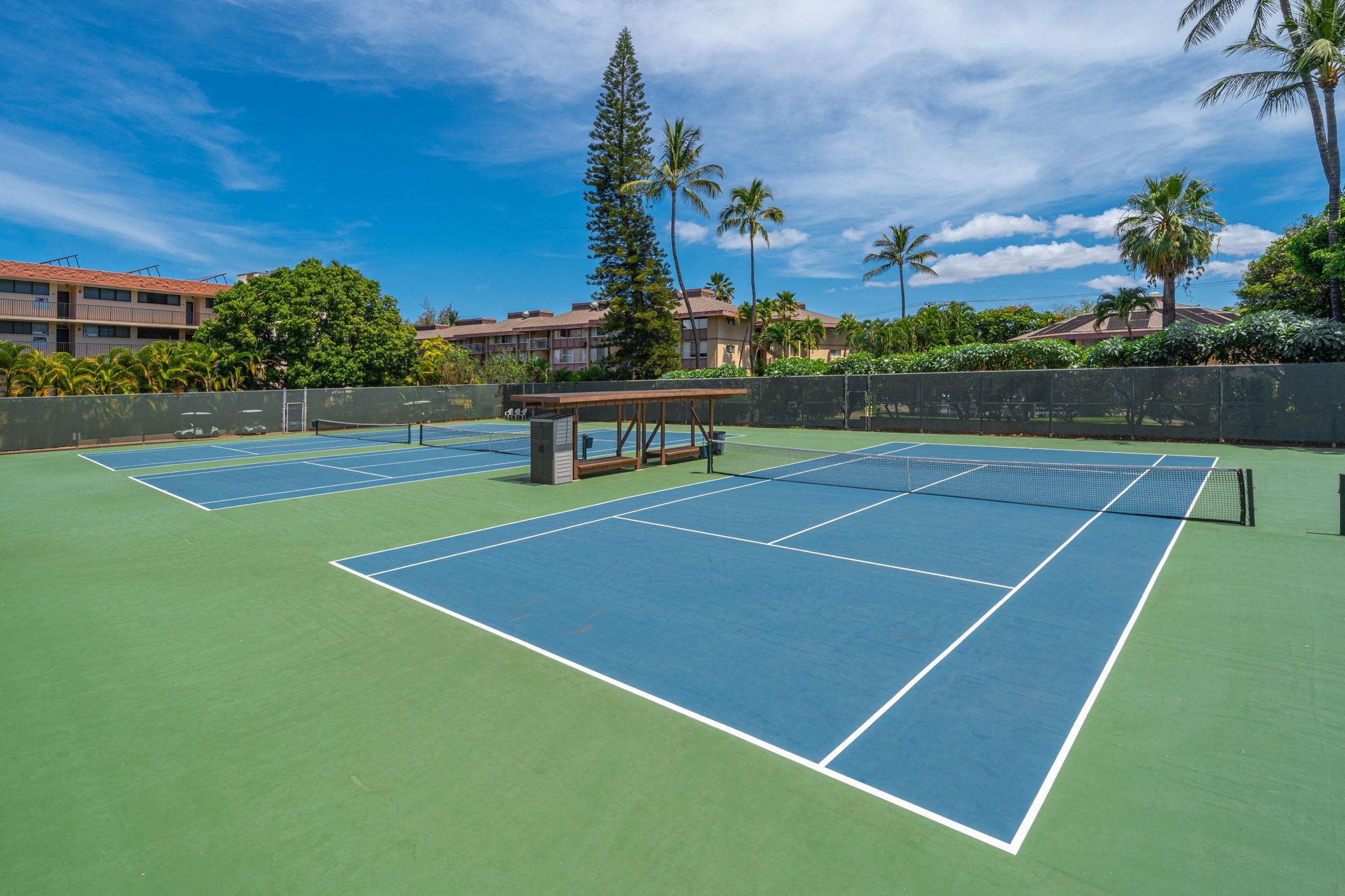 2695 S Kihei Rd Property Photo 44