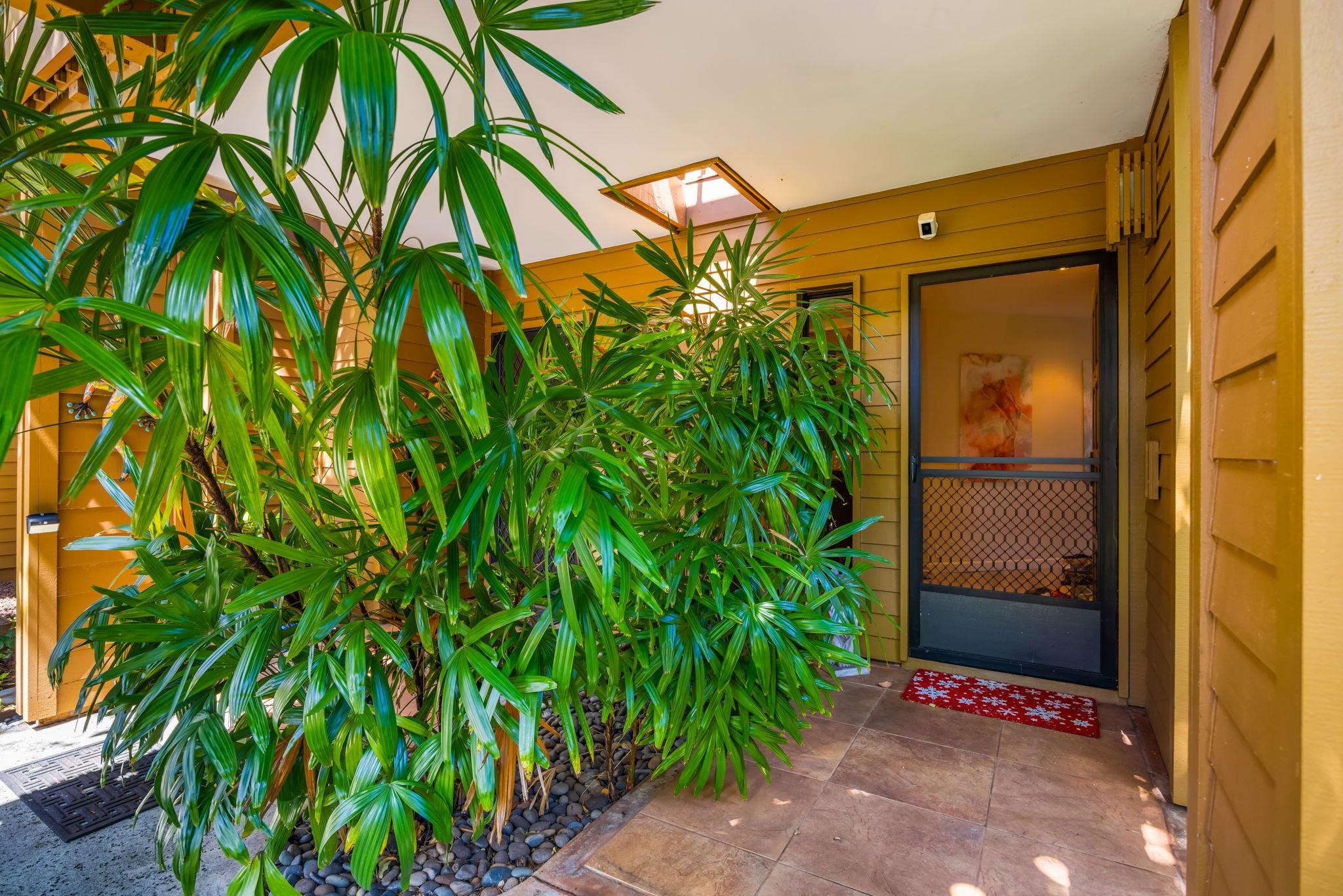 50 Puu Anoano St Property Photo 39