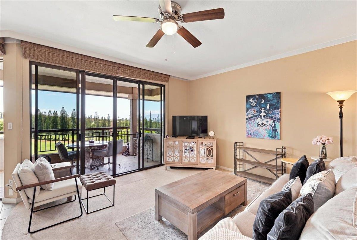 500 Kapalua Dr Property Photo 4