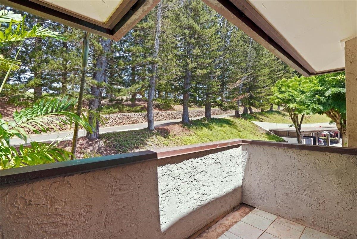 500 Kapalua Dr Property Photo 22