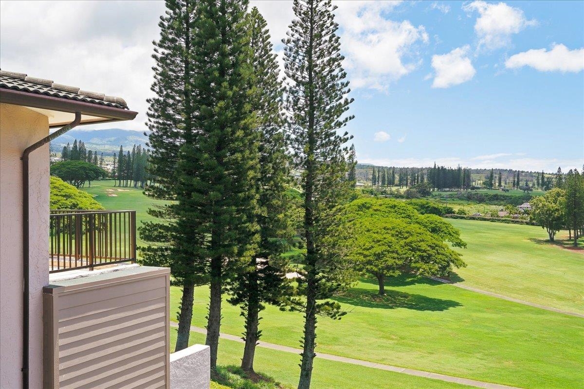 500 Kapalua Dr Property Photo 29