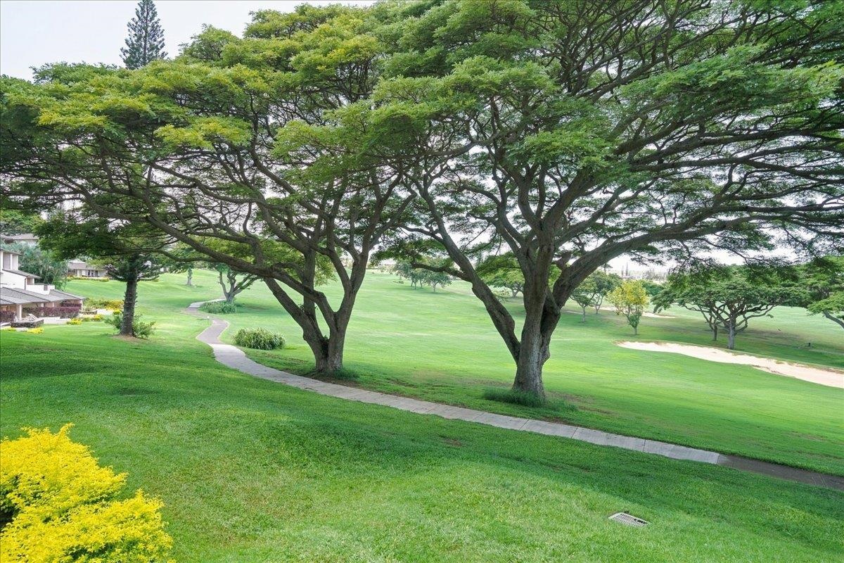 500 Kapalua Dr Property Photo 33