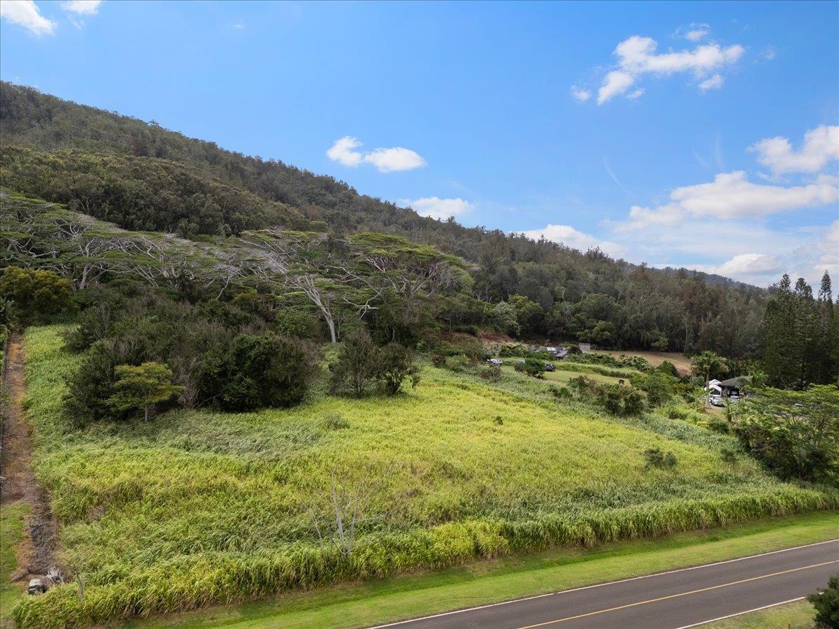 2584 Kamaile St Property Photo 2