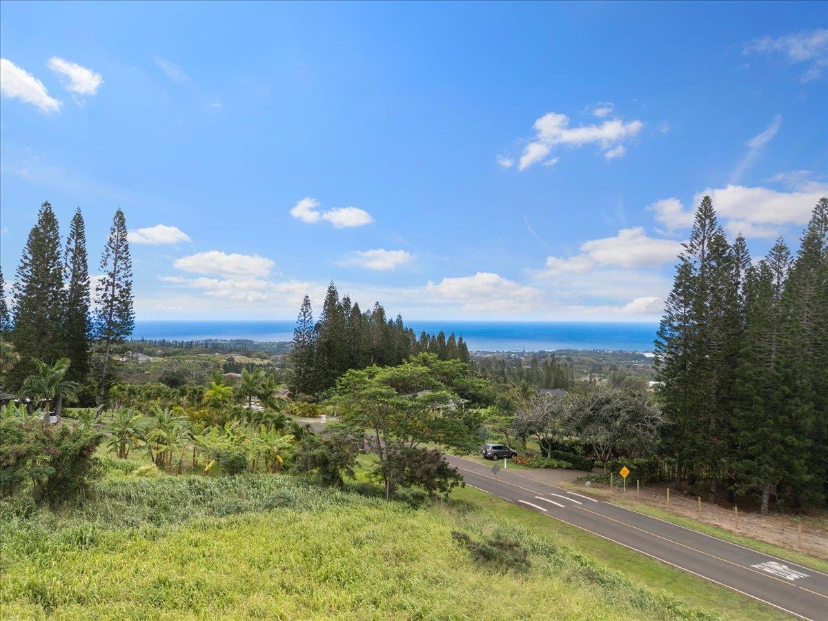 2584 Kamaile St Property Photo 27