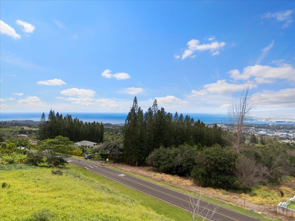 2584 Kamaile St Property Photo 29