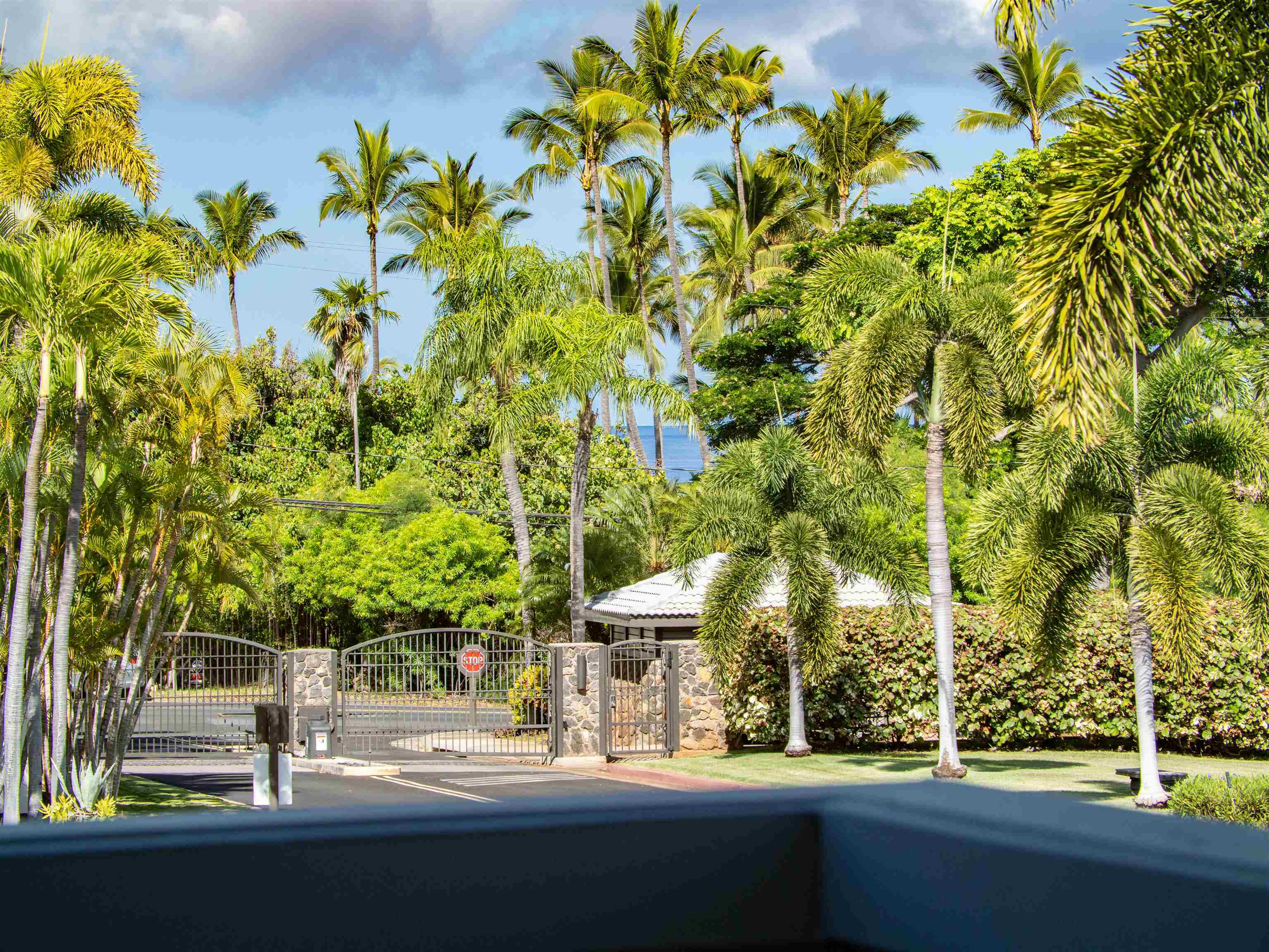 30 Waikai St Property Photo 44