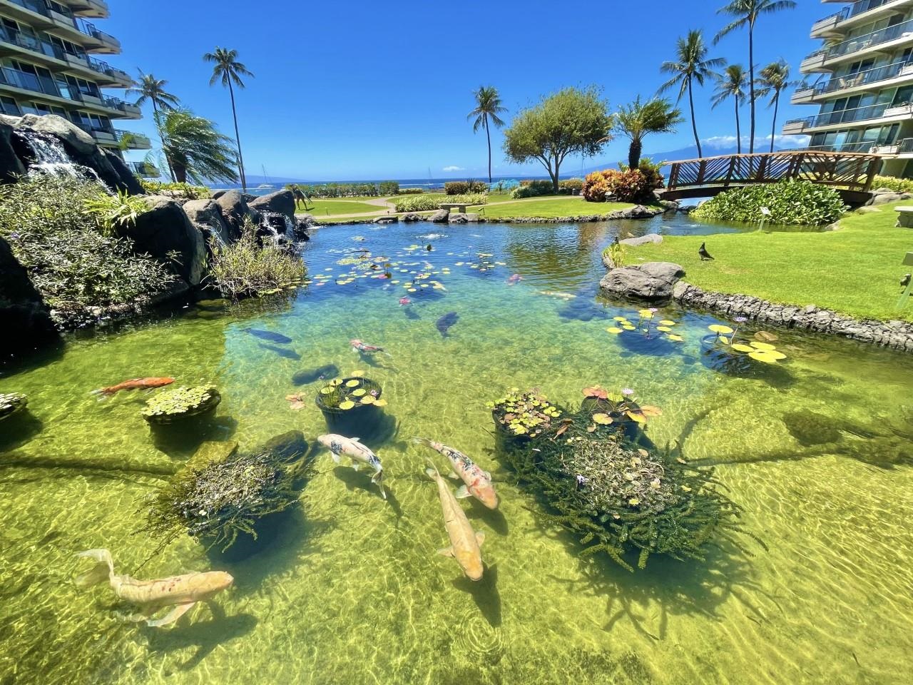 2481 Kaanapali Pkwy Property Photo 28