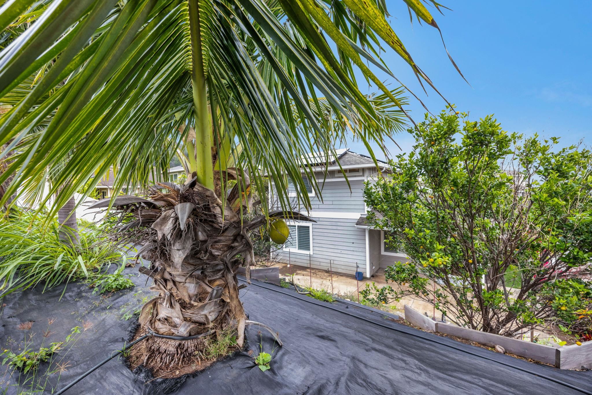 103 Ka Ikena Loop Property Photo 40