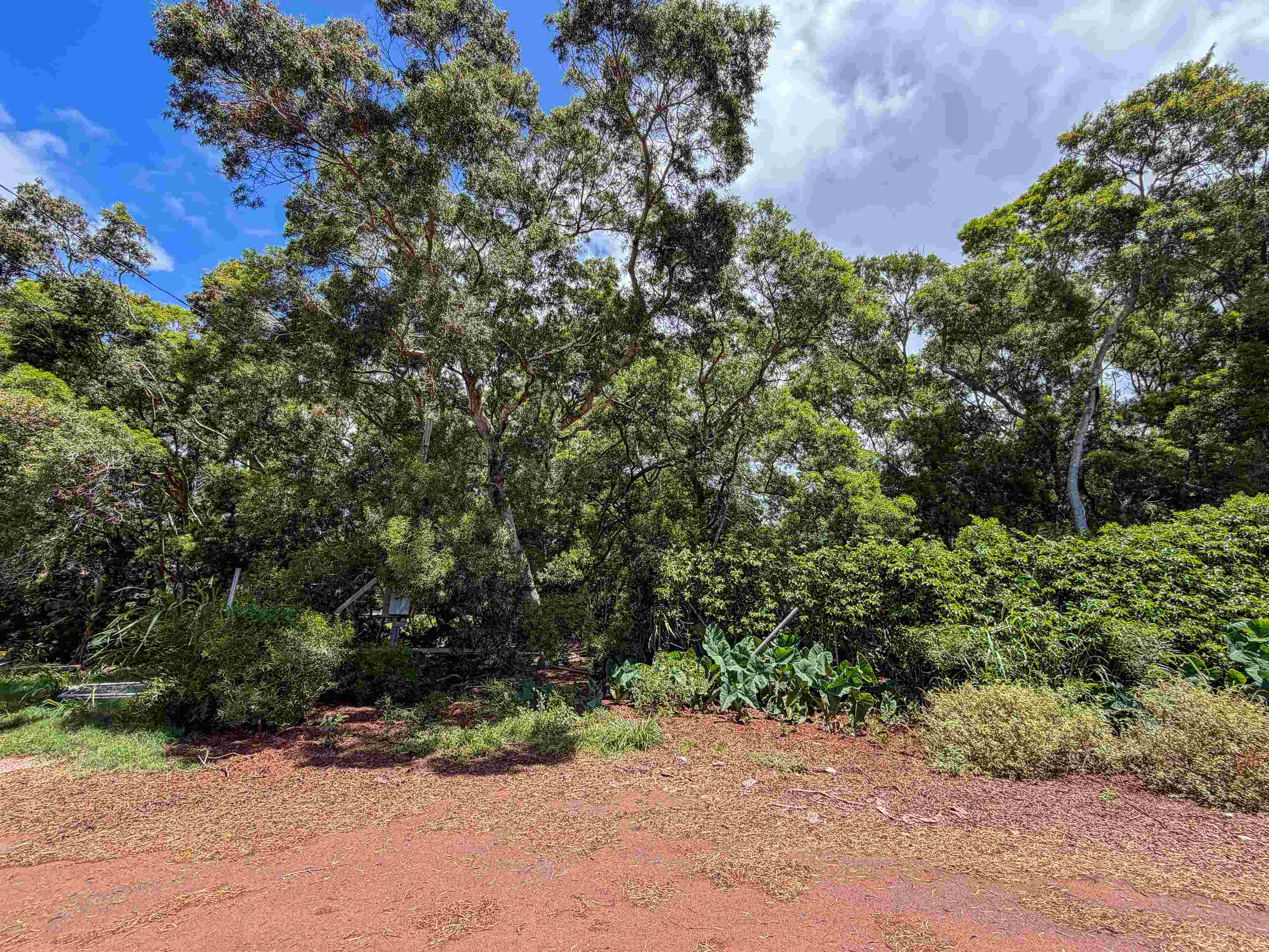 36 Koala Way Property Photo 1