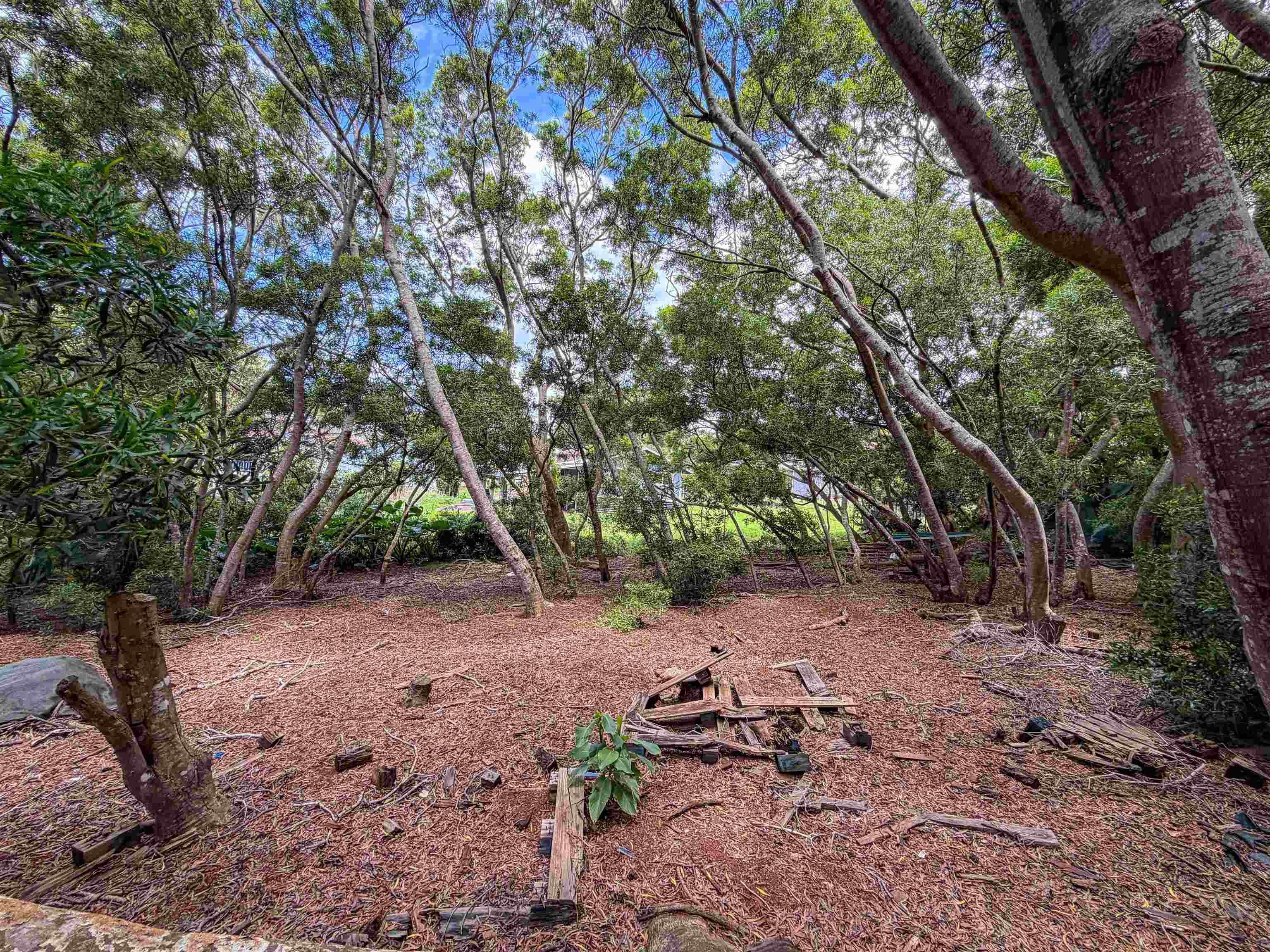 36 Koala Way Property Photo 2